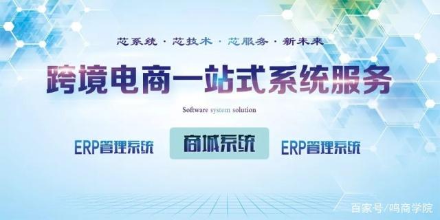 跨境联盟云技术「芯系统·芯服务」正式启动 以电商系统解决方案赋能企业跨境服务新生态